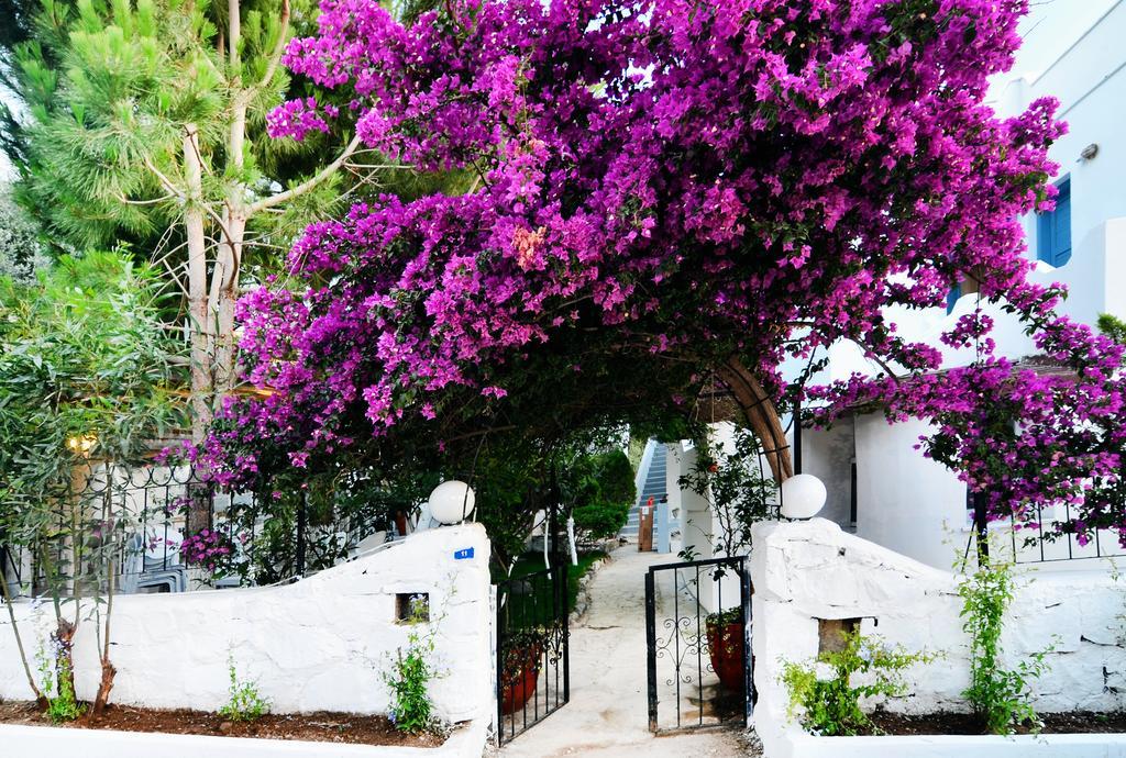 Misket Hotel Bodrum ギュムシュルク エクステリア 写真